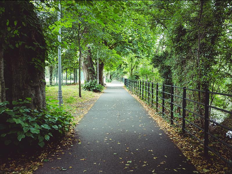 jardin